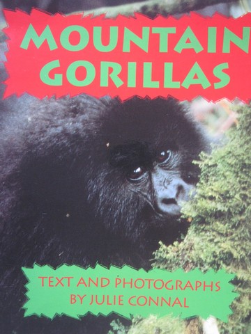 (image for) Wonder World 5 Mountain Gorillas (P) by Julie Connal