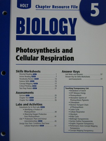 Holt biology photosynthesis and cellular respiration critical thinking answers Holt biology photosynthesis and cellular respiration critical thinking answers picture