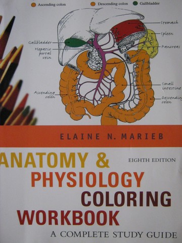(image for) Anatomy & Physiology 8th Edition Coloring Workbook (P) by Marieb - Click Image to Close