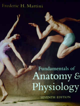 (image for) Fundamentals of Anatomy & Physiology 7th Edition (H) by Martini
