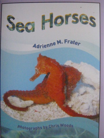 (image for) New Heights Sea Horses Audio Cassette (Cassette) by Frater