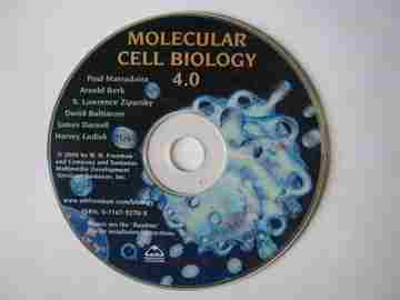 (image for) Molecular Cell Biology 4.0 (CD) by Matsudaira, Berk, Zipursky,