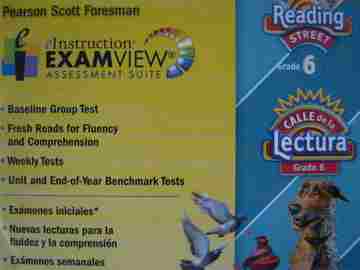 (image for) Reading Street 6 eInstruction ExamView Assessment Suite (CD)