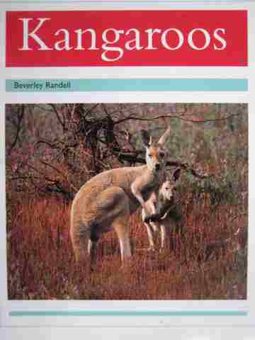 (image for) PM Animal Facts Kangaroos (P) by Beverley Randell