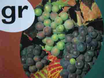 (image for) Rigby PM Collection Alphabet Blends gr (P) by Beverley Randell