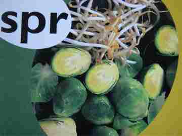 (image for) Rigby PM Collection Alphabet Blends spr (P) by Beverley Randell
