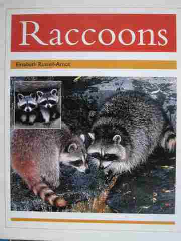 (image for) PM Animal Facts Nocturnal Animals Raccoons (P) by Elizabeth Russell-Arnot