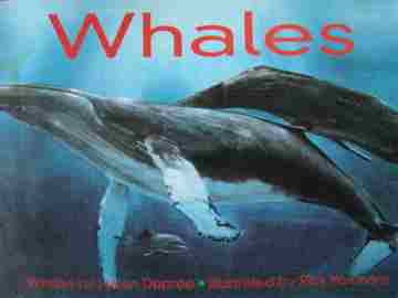 (image for) Foundations 4 Whales (P) by Helen Depree