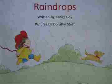 (image for) Beginning Literacy Raindrops (P) by Sandy Gay