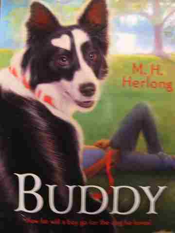 Buddy (P) by M H Herlong (image for) Buddy (P) by M H Herlong