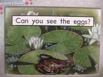 (image for) Rigby PM Collection Platinum Edition Can You See the Eggs? (P) by Jenny Giles