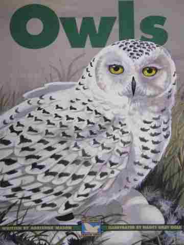 (image for) Owls (P) by Adrienne Mason