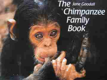 (image for) Chimpanzee Family Book (P) by Jane Goodall