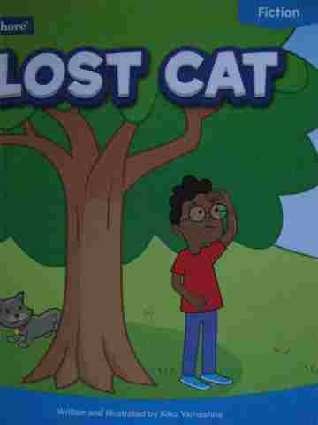 Lost Cat (P) by Kiko Yamashita (image for) Lost Cat (P) by Kiko Yamashita