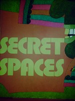 New Macmillan Reading Series r Level 15 Secret Spaces (P)