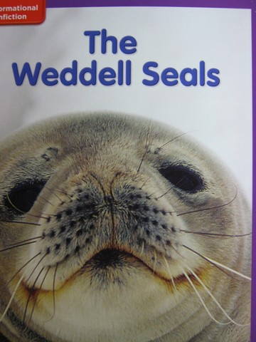 (image for) Leveled Reader Library 3 The Weddell Seals (P) by Sandy Riggs