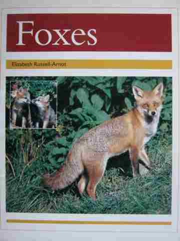 (image for) PM Collection Nocturnal Animals Foxes (P) by Elizabeth Russell-Arnot
