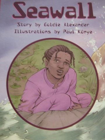 (image for) PM Chapter Books Seawall (P) by Goldie Alexander
