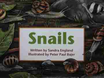 (image for) Foundations 1 Snails (P) by Sandra England