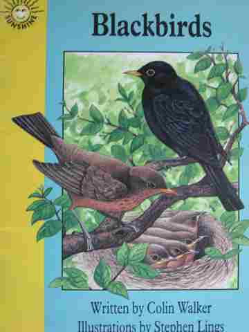 (image for) Sunshine 3 Blackbirds (P) by Colin Walker