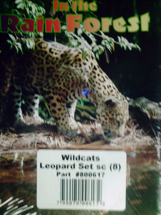 (image for) Wildcats Leopard Set (Pk) - Click Image to Close