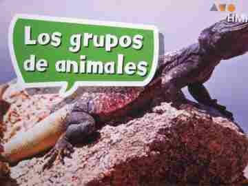 (image for) Los grupos de animales (P) by Kristen Kunkel