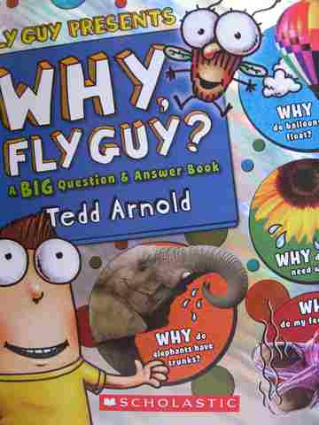(image for) Why Fly Guy? A Big Question & Answer Book (H) by Tedd Arnold