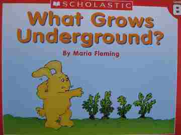 (image for) Little Leveled Readers B What Grows Underground? (P) by Maria Fleming