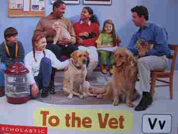 (image for) Reading Line Vv To the Vet (P) by Ken Karp