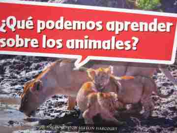 (image for) Que podemos aprender sobre los animales? (P)