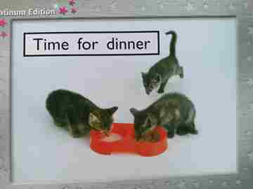 (image for) PM Collection Platinum Edition Time for Dinner (P) by Beverley Randell, Jenny Giles, & Annette Smith