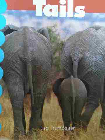 (image for) Discovery Links Emergent Level Tails (P) by Lisa Trumbauer