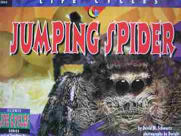 (image for) Science Series Life Cycles Jumping Spider (P) by David M Schwartz