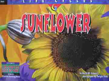 (image for) Science Series Life Cycles Sunflower (P) by David M Schwartz