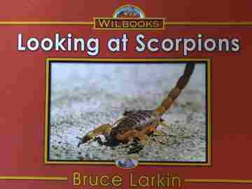 (image for) Wilbooks Looking at Scorpions (P) by Bruce Larkin