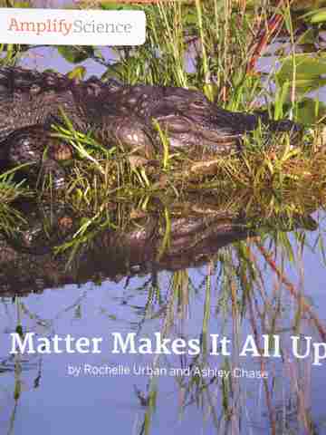 (image for) Amplify Science 5 Matter Makes It All Up (P) by Rochelle Urban & Ashley Chase