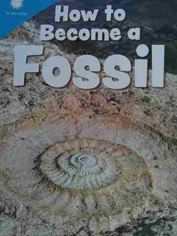 (image for) How to Become a Fossil (P) by Anne Lamb