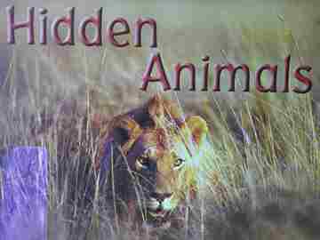 (image for) Gear Up! for Guided Reading Level D Hidden Animals (P) by Ricardo Todd