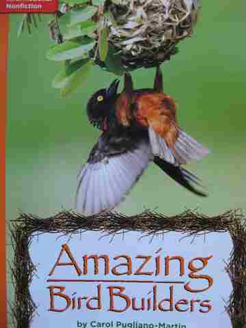 (image for) Leveled Reader Library 3 Amazing Bird Builders (P) by Carol Pugliano-Martin