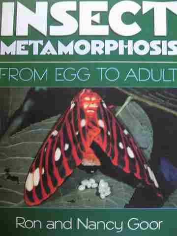 (image for) Insect Metamorphosis from Egg to Adult 4 (P) Ron & Nancy Goor