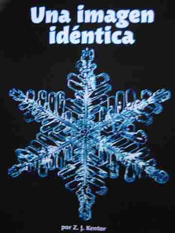 (image for) Math Readers 4 Una imagen identica (P) by Z J Kentor