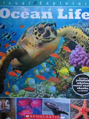 (image for) Visual Explorers Ocean Life (P)