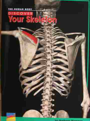 (image for) English Explorers Discover Your Skeleton (P) by Barbara Brannon