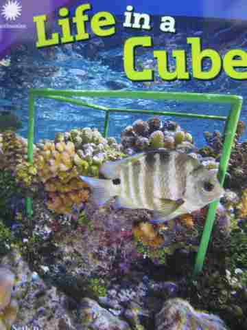 (image for) Life in a Cube (P) by Seth Rogers
