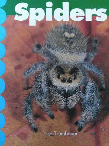 (image for) Discovery Links Emergent Level Spiders (P) by Lisa Trumbauer