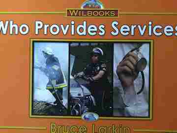 (image for) Wilbooks Who Provides Services? (P) by Bruce Larkin