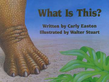 (image for) Ready Readers Stage 0 What Is This? (P) by Carly Easton