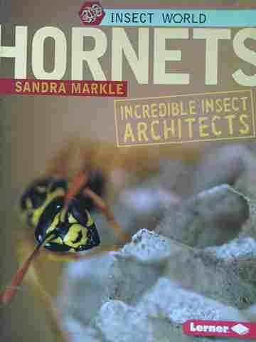 (image for) Insect World Hornets Incredible Insect Architects (P) by Sandra Markle