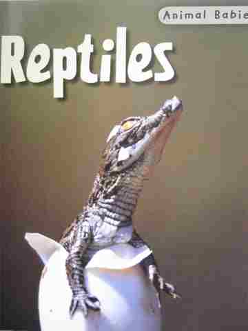 (image for) Animal Babies Reptiles Revised & Updated (P) by Rod Theodorou