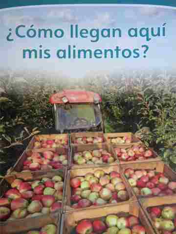 (image for) Como llegan aqui mis alimentos? (P) by Michelle Shalton